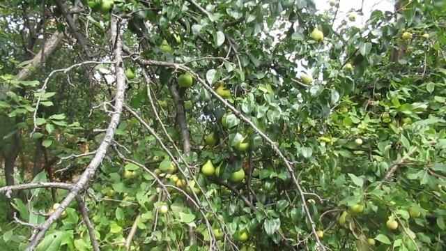 Уж сентябрь за окном... смотреть онлайн