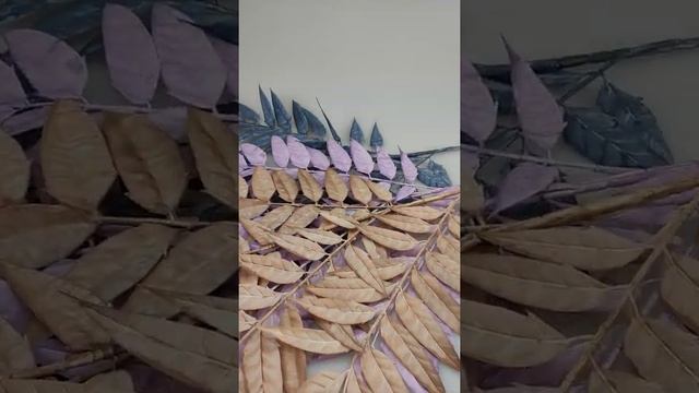 Ветка Лавр Прованс смотреть онлайн