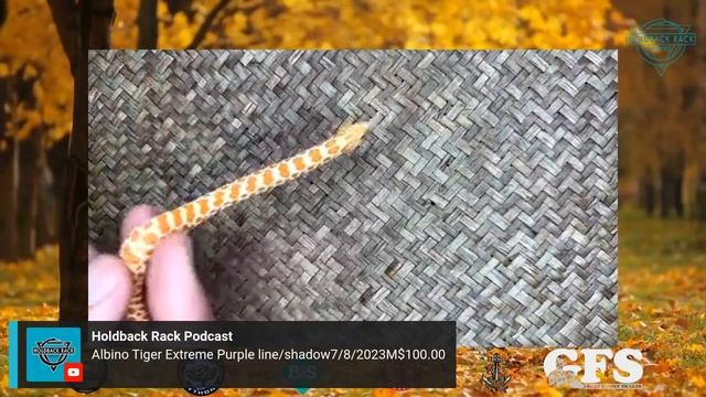 Auction 10 - Reptile Kreations, Mutant Reptiles, and B and S Reptilia - Ball Pythons and Hognoses смотреть онлайн
