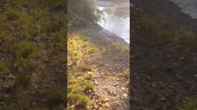 Roter Korsar смотреть онлайн