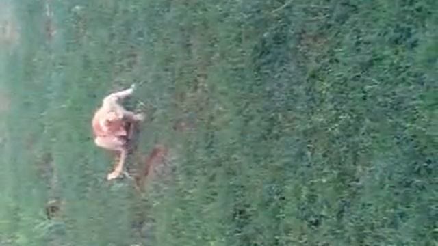 кот мучает мышь смотреть онлайн