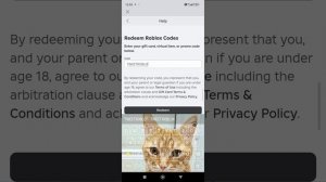 показываю Где вводить коды в роблоксе + два кода