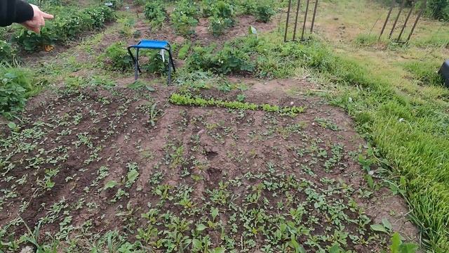 Выходные на даче. Чай из самовара. смотреть онлайн