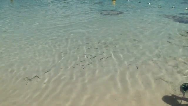 Cala Bassa Beach - Ibiza смотреть онлайн