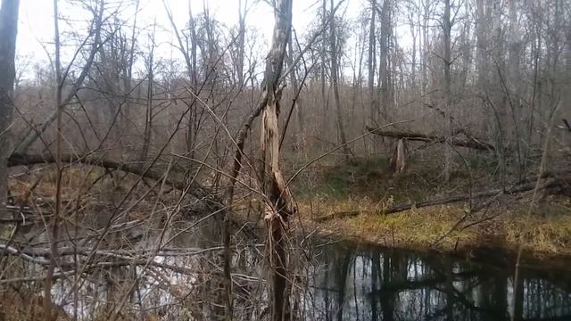 Охота с гончей на лису смотреть онлайн