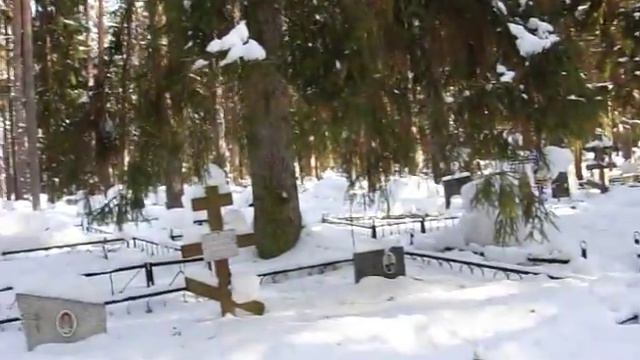 Гибель Клетинского Бора (часть 8) смотреть онлайн