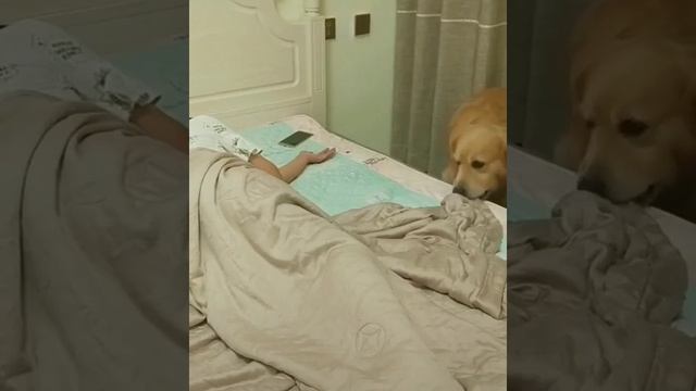 нянька смотреть онлайн