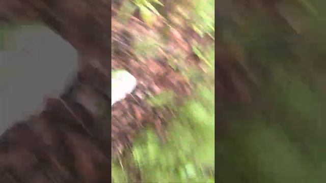 Паркур в селе 1 часть смотреть онлайн