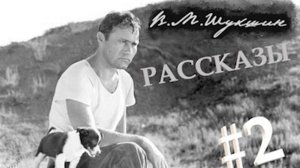 Василий Шукшин. Рассказы ч.2