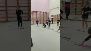 Лиза занимается художественной гимнастикой.