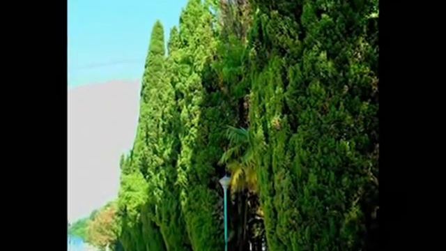 Абхазия июнь 2010 года.wmv смотреть онлайн