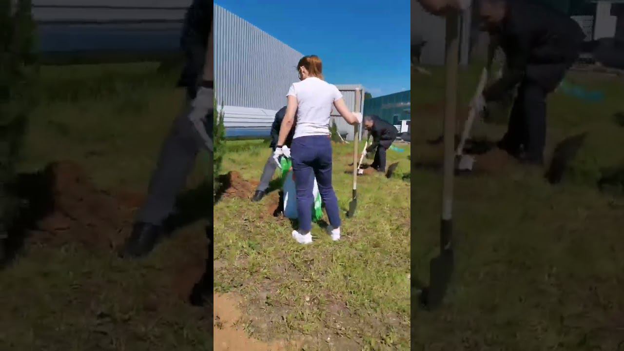 Посадка аллеи в честь 30-летия Компании ТБМ смотреть онлайн