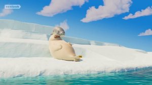 Cat? Seal? Kitty Seal Special | SEALOOK | Episodes Compilation