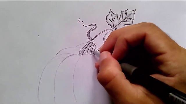 рисунок тыквы - рисунок овощи смотреть онлайн
