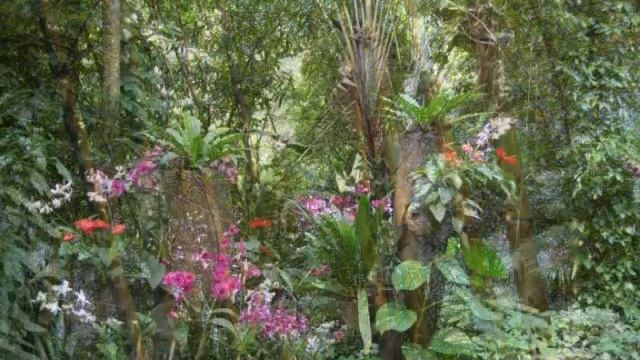 Путешествие по острову Хайнань, Китай