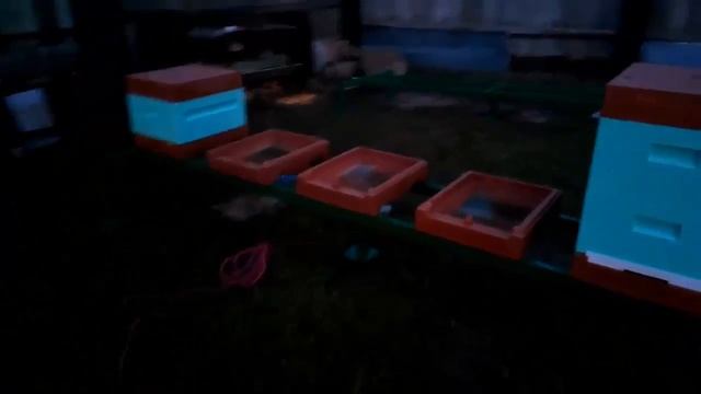 Многоместные Подставки под ульи Нижегородец смотреть онлайн