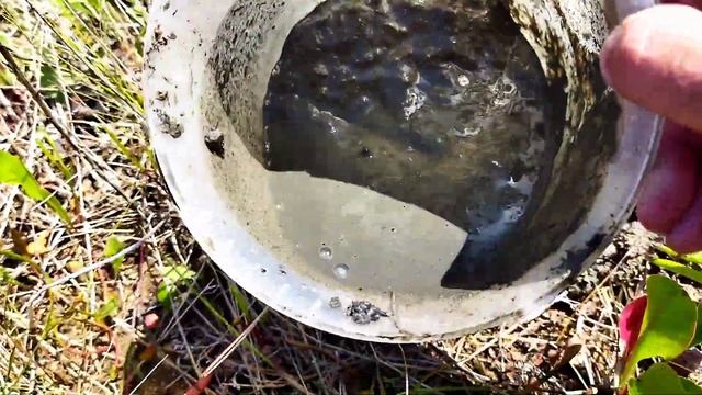 Для ловли пеленгаса копаю морского песчаного червя ... смотреть онлайн