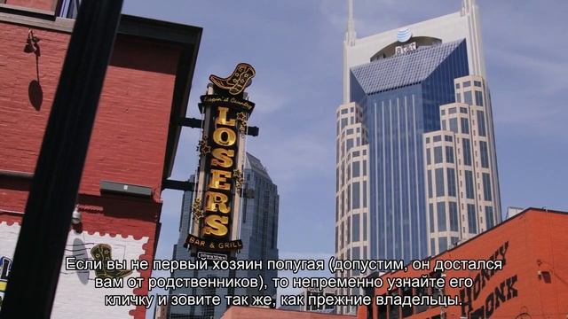 Как назвать попугая? смотреть онлайн