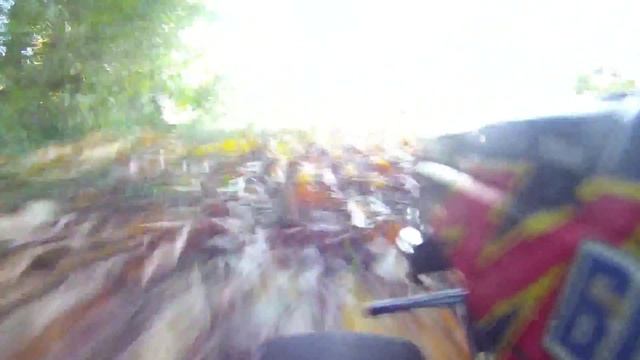 Pirate Blast & Monster Beetle смотреть онлайн