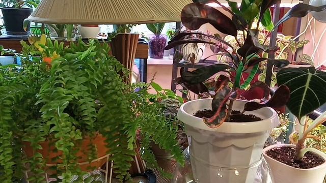Апрельские цветы́ смотреть онлайн