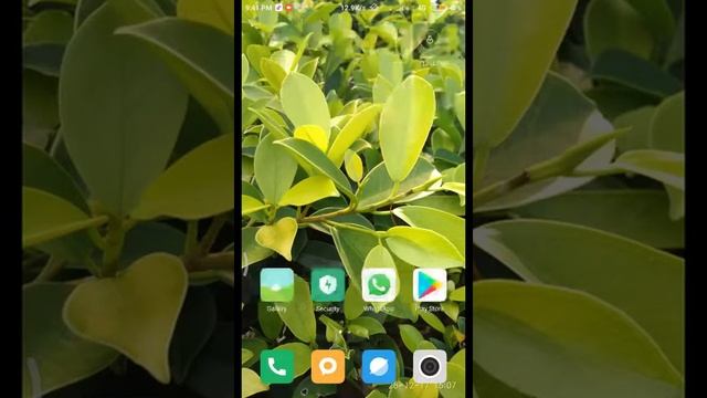 How to download songs freely in mi music player смотреть онлайн