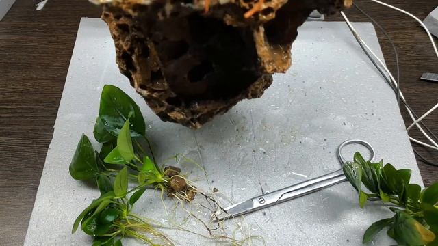 ТАЙНА ПЕРЕВЕРНУТОГО АКВАРИУМА. АКВАРИУМ ВВЕРХ НОГАМИ СВОИМИ РУКАМИ смотреть онлайн