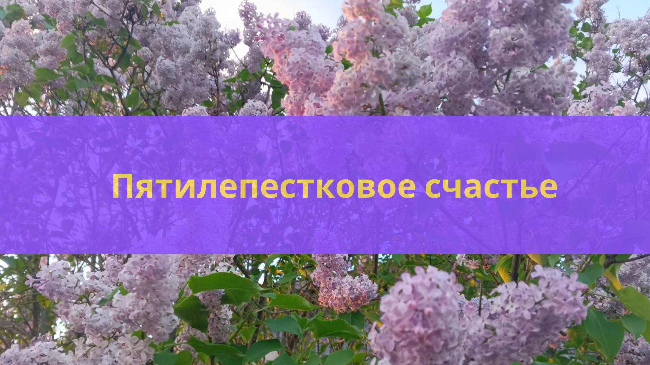 Выходные в деревне смотреть онлайн