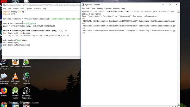 Detecting Cats Using Python and Haar Cascades смотреть онлайн