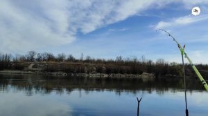 Первая плотва в МАРТЕ!!! Рыбалка на фидер ,на реке!!! Плотва на изюм и опарыш!