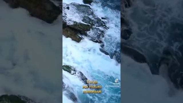 #статусы #цитаты #жизнь смотреть онлайн