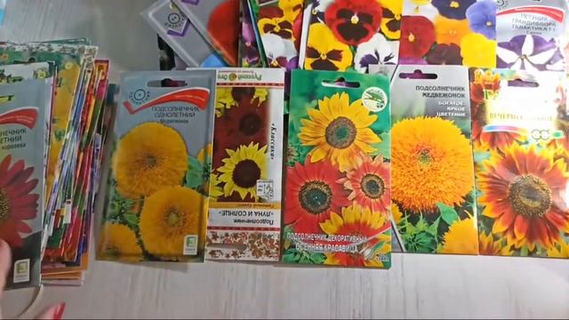 Какие цветы посадить. Сроки посева семян. Цветник без хлопот. смотреть онлайн