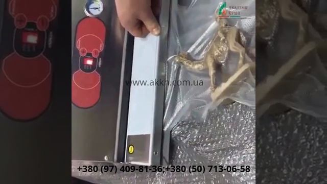Вакуумный упаковщик Euromatic MATIC 50 смотреть онлайн