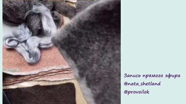 Шерсть из Новой Зеландии смотреть онлайн