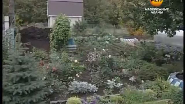 Загадочные узоры на арбузах смотреть онлайн
