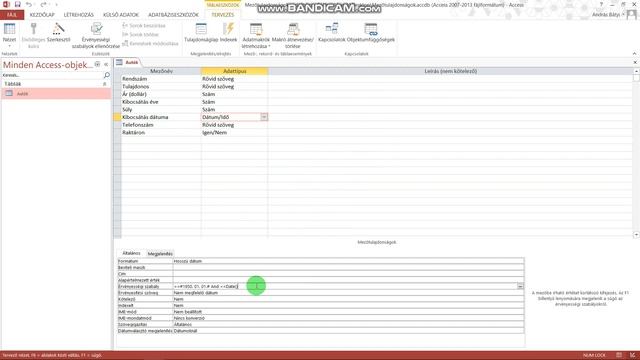 3. Microsoft Access - Mezőtulajdonságok смотреть онлайн