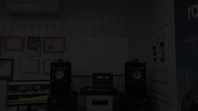 FOCAL ES 165K2 и FOCAL FPX4.800 гармонизация пространства, эмоции, золотая проба 750.