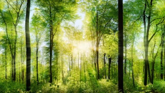 HCi Long Live The Broker - Manifesto Video