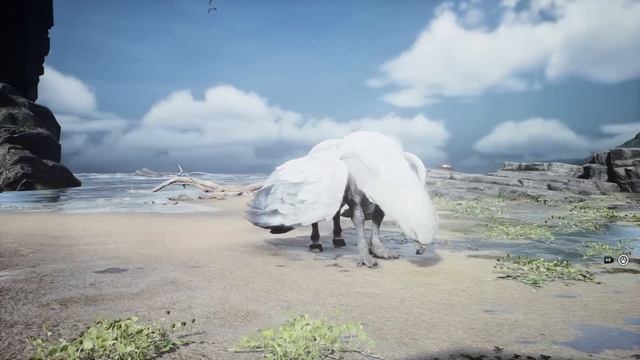 Everything You NEED To Know About Your Vivarium in Hogwarts Legacy! смотреть онлайн