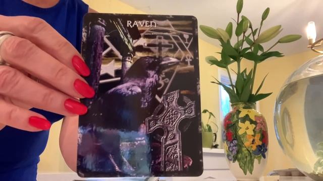 TRANSFERENCE HEALING ANIMAL MAGIC ORACLE - A quick 3 Cards смотреть онлайн