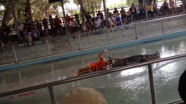 Голова в пасти крокодила смотреть онлайн