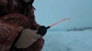 Зимняя рыбалка. Рыбалка на Каме.