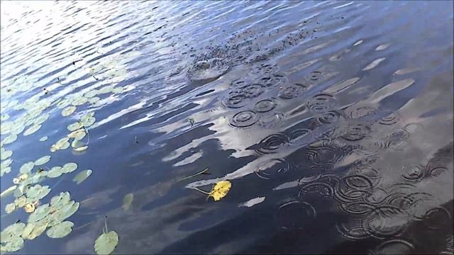 Караси прут на гороховую кашу смотреть онлайн