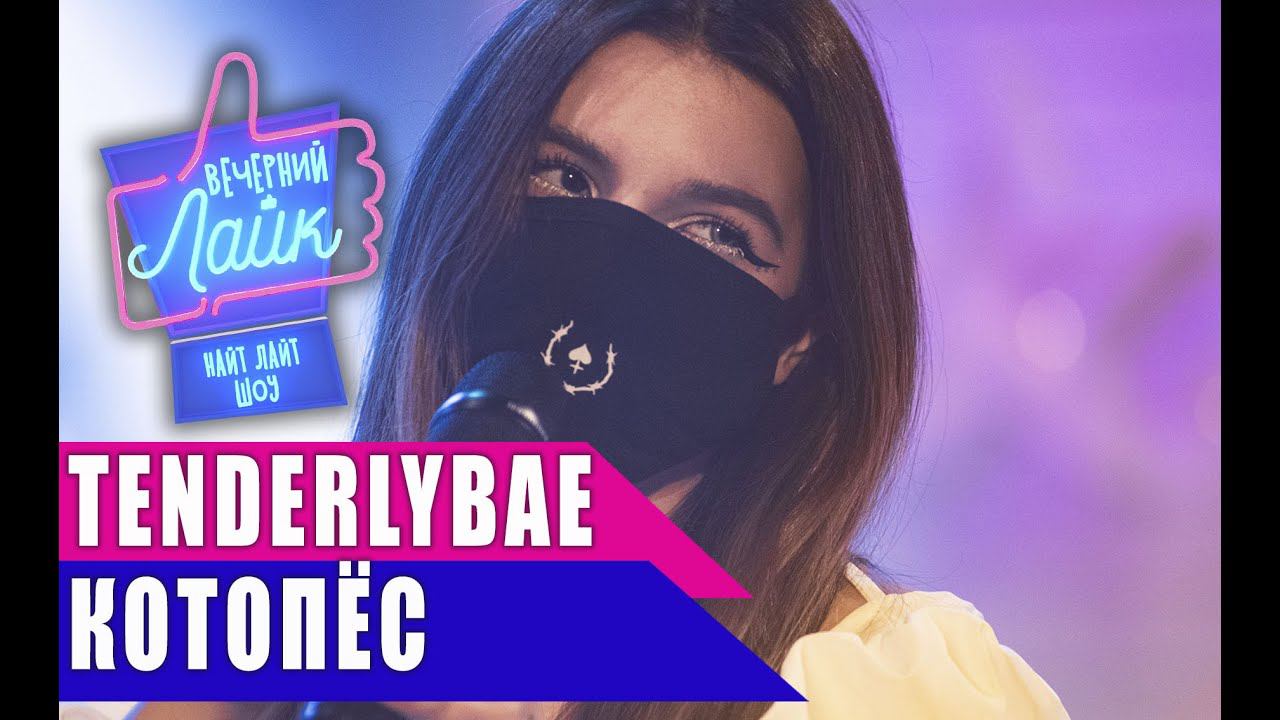 Tenderlybae - Котопёс  | Шоу ВЕЧЕРНИЙ ЛАЙК