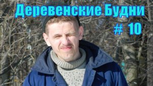 Деревенские будни #10 // Планы, птица, дрова... третья инкубация.