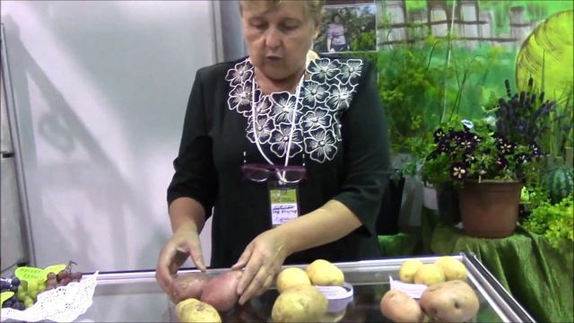 Новинки картофеля. Марценюк Надежда смотреть онлайн