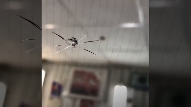 Ремонт скола на лобовом стекле в форме звезды смотреть онлайн