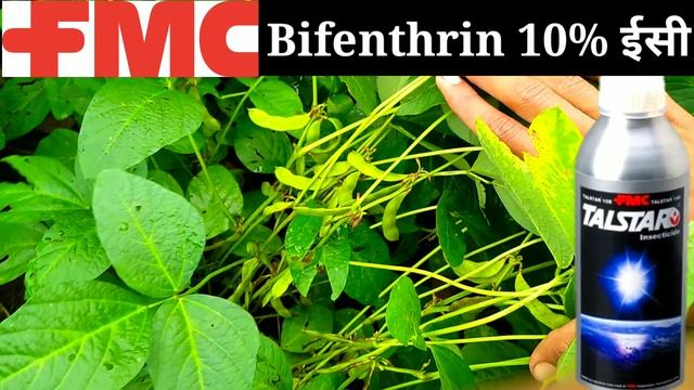 Fmc talstar insecticide kitnashak || pesticides || fmc || Bifenthrin 10% ec || thrips || macharmar смотреть онлайн