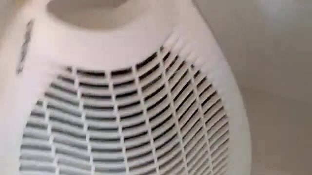 Видео №595018 смотреть онлайн