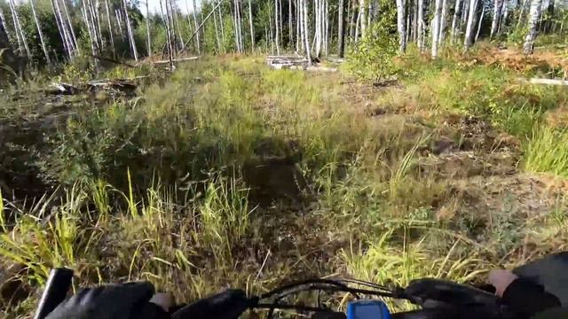 ПОСЛЕДНЯЯ ЛЕТНЯЯ НОЧЬ на лесном озере РЫЖАН. Болото Сычёва Яма. Велопоход смотреть онлайн