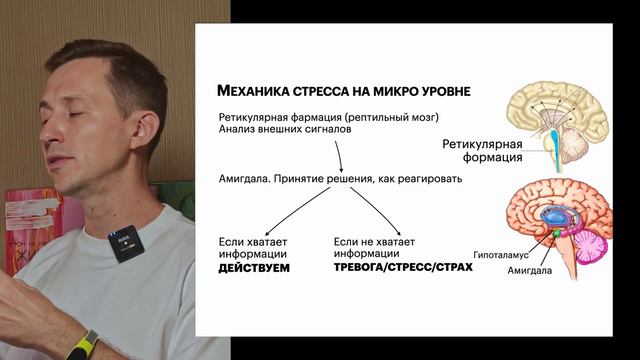 Механика стресса. Как освободиться от стресса и привести жизнь в порядок. | Урок 3 смотреть онлайн